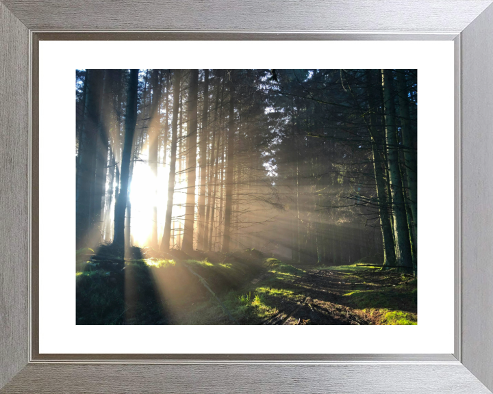 morning light at skipton Lancashire Photo Print - Canvas - Framed Photo Print - Hampshire Prints