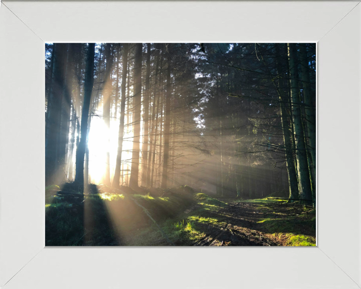 morning light at skipton Lancashire Photo Print - Canvas - Framed Photo Print - Hampshire Prints