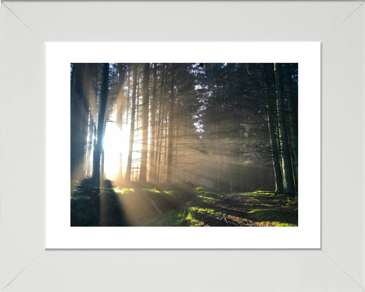 morning light at skipton Lancashire Photo Print - Canvas - Framed Photo Print - Hampshire Prints