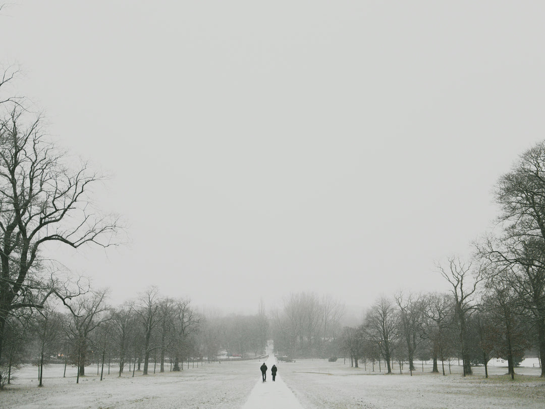 snow covered Towneley Park Burnley Lancashire Photo Print - Canvas - Framed Photo Print - Hampshire Prints