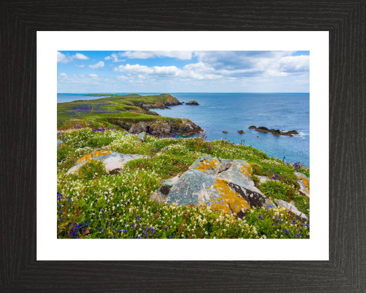 Saltee Island ireland Photo Print - Canvas - Framed Photo Print - Hampshire Prints