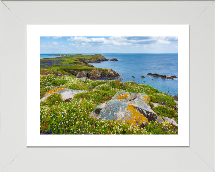 Saltee Island ireland Photo Print - Canvas - Framed Photo Print - Hampshire Prints