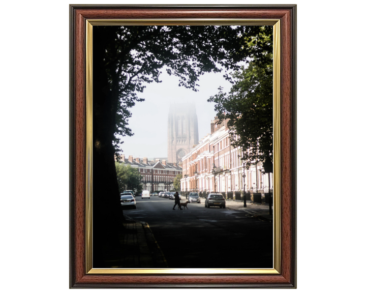 The Georgian Quarter Liverpool Photo Print - Canvas - Framed Photo Print - Hampshire Prints