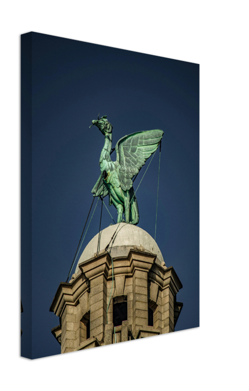 Liver bird on the Liver Building Liverpool Photo Print - Canvas - Framed Photo Print - Hampshire Prints