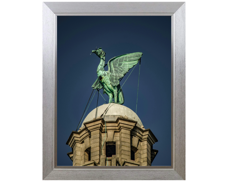 Liver bird on the Liver Building Liverpool Photo Print - Canvas - Framed Photo Print - Hampshire Prints