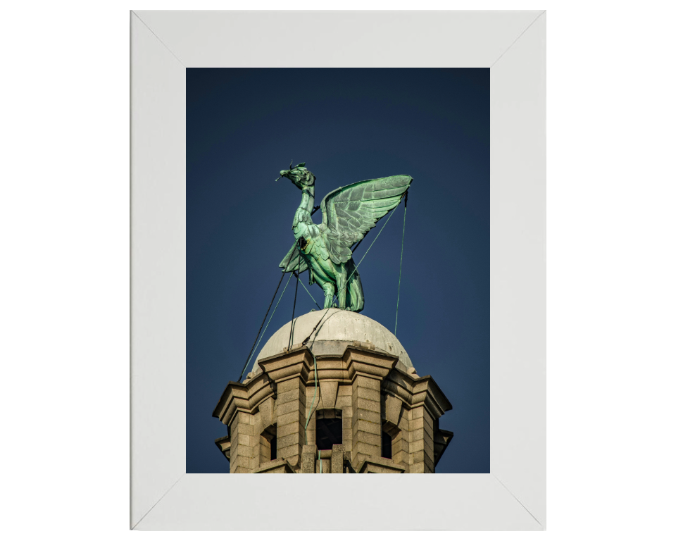 Liver bird on the Liver Building Liverpool Photo Print - Canvas - Framed Photo Print - Hampshire Prints