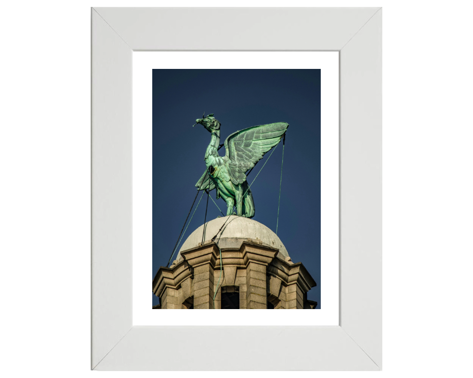 Liver bird on the Liver Building Liverpool Photo Print - Canvas - Framed Photo Print - Hampshire Prints