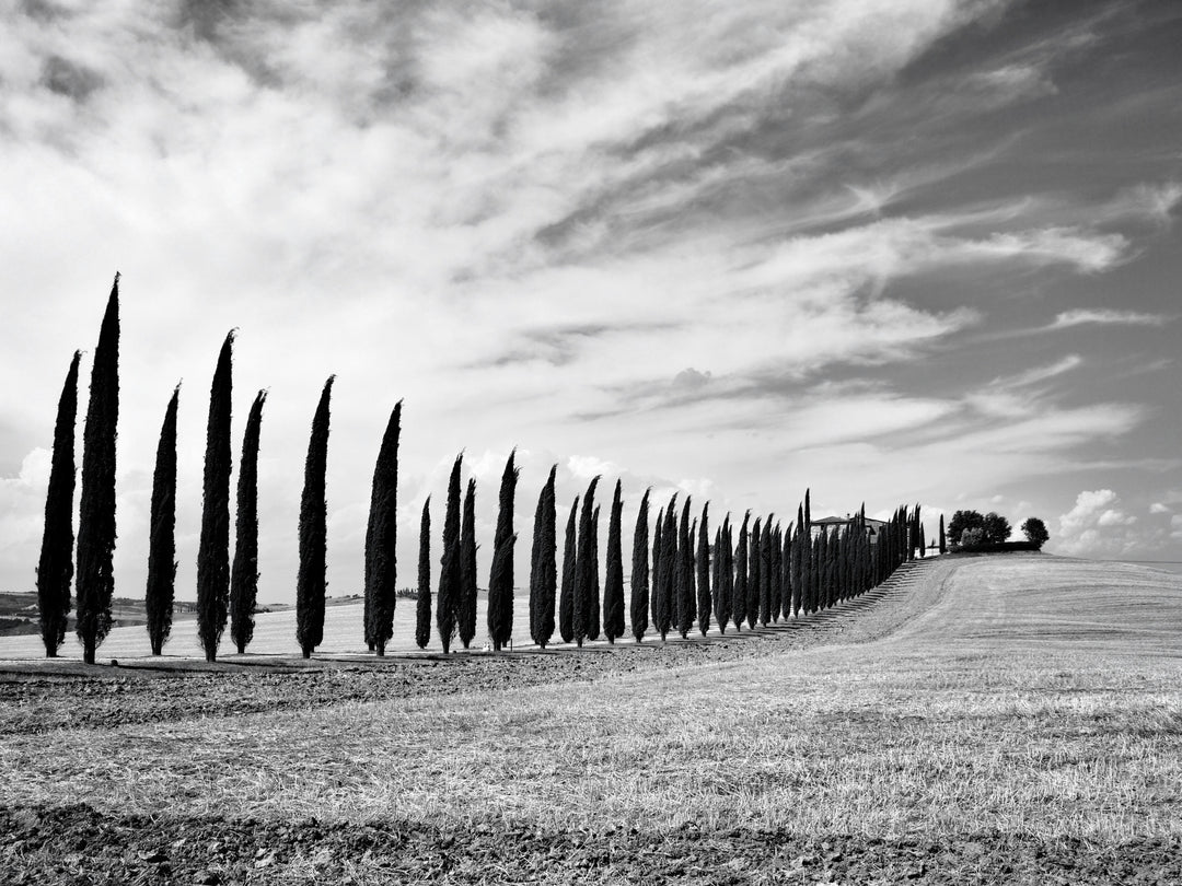 Tuscany Italy black and white Photo Print - Canvas - Framed Photo Print - Hampshire Prints