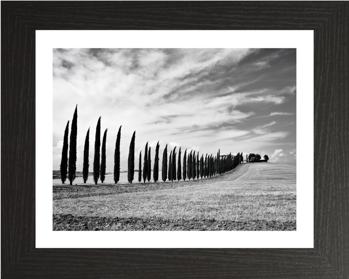 Tuscany Italy black and white Photo Print - Canvas - Framed Photo Print - Hampshire Prints