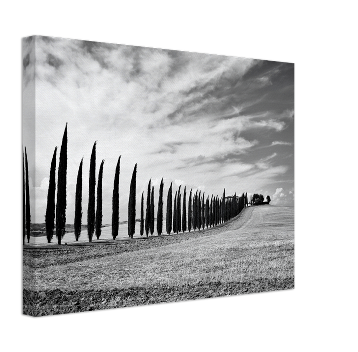 Tuscany Italy black and white Photo Print - Canvas - Framed Photo Print - Hampshire Prints