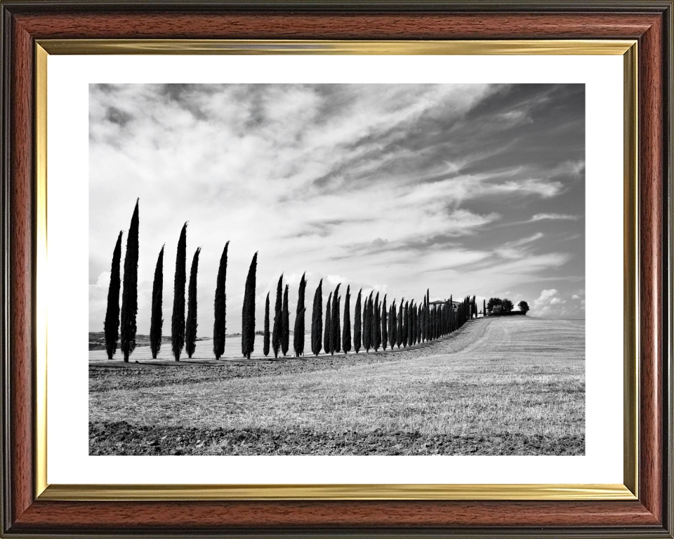 Tuscany Italy black and white Photo Print - Canvas - Framed Photo Print - Hampshire Prints