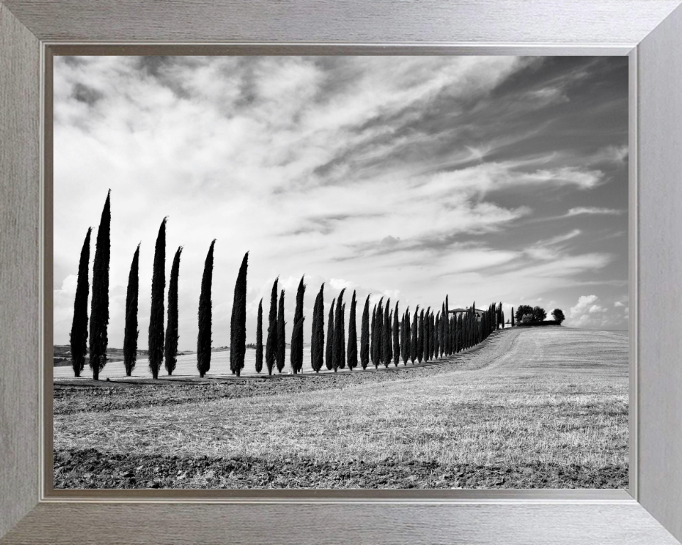 Tuscany Italy black and white Photo Print - Canvas - Framed Photo Print - Hampshire Prints