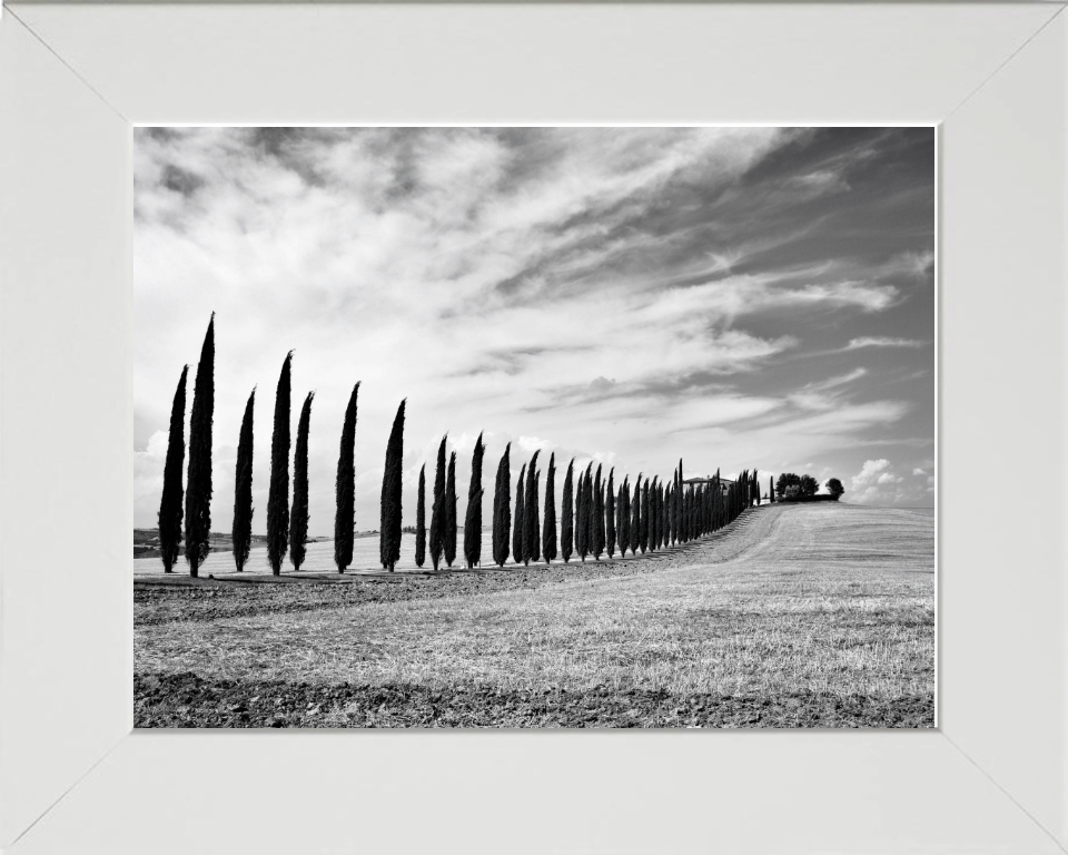 Tuscany Italy black and white Photo Print - Canvas - Framed Photo Print - Hampshire Prints