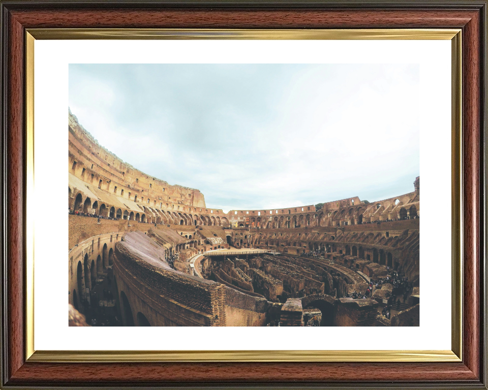 Inside the Colosseum Rome Italy  Photo Print - Canvas - Framed Photo Print - Hampshire Prints