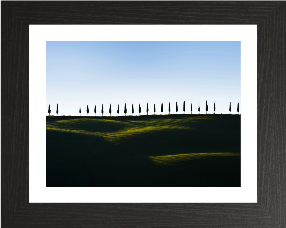 row of trees Tuscany Italy Photo Print - Canvas - Framed Photo Print - Hampshire Prints