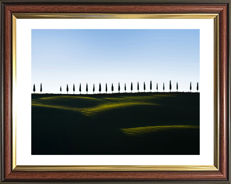 row of trees Tuscany Italy Photo Print - Canvas - Framed Photo Print - Hampshire Prints