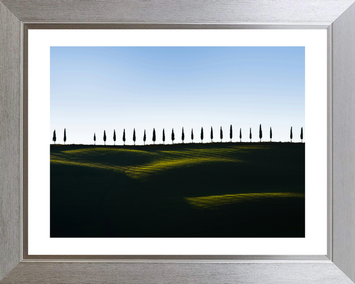 row of trees Tuscany Italy Photo Print - Canvas - Framed Photo Print - Hampshire Prints