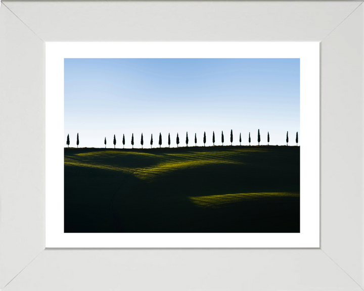 row of trees Tuscany Italy Photo Print - Canvas - Framed Photo Print - Hampshire Prints