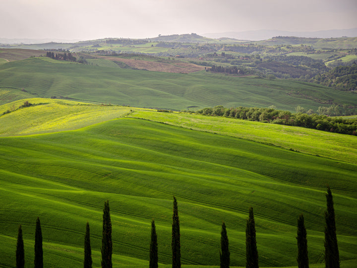 Tuscany Italy in summer Photo Print - Canvas - Framed Photo Print - Hampshire Prints