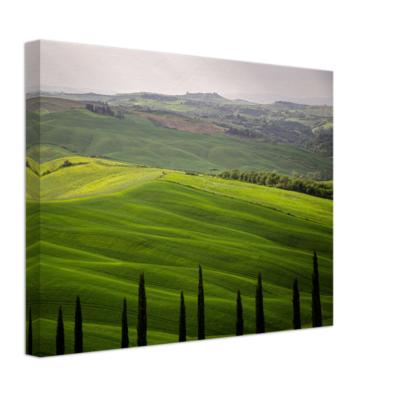 Tuscany Italy in summer Photo Print - Canvas - Framed Photo Print - Hampshire Prints