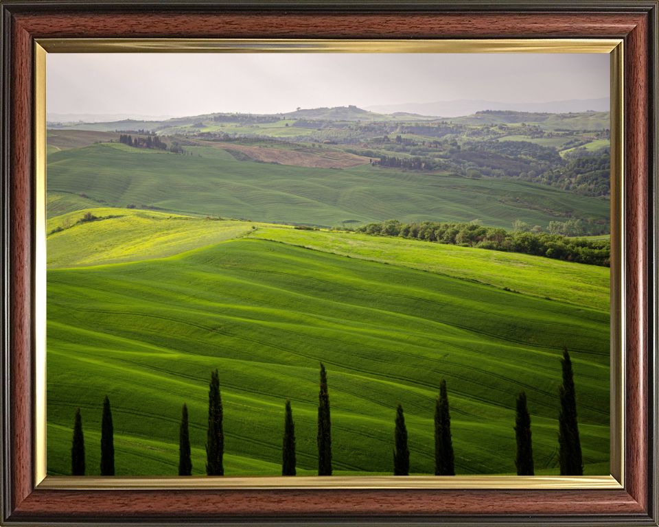 Tuscany Italy in summer Photo Print - Canvas - Framed Photo Print - Hampshire Prints