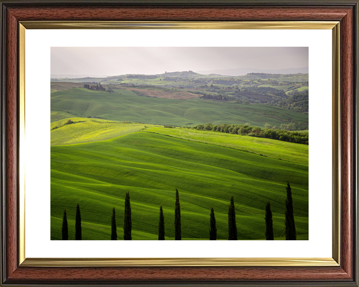 Tuscany Italy in summer Photo Print - Canvas - Framed Photo Print - Hampshire Prints