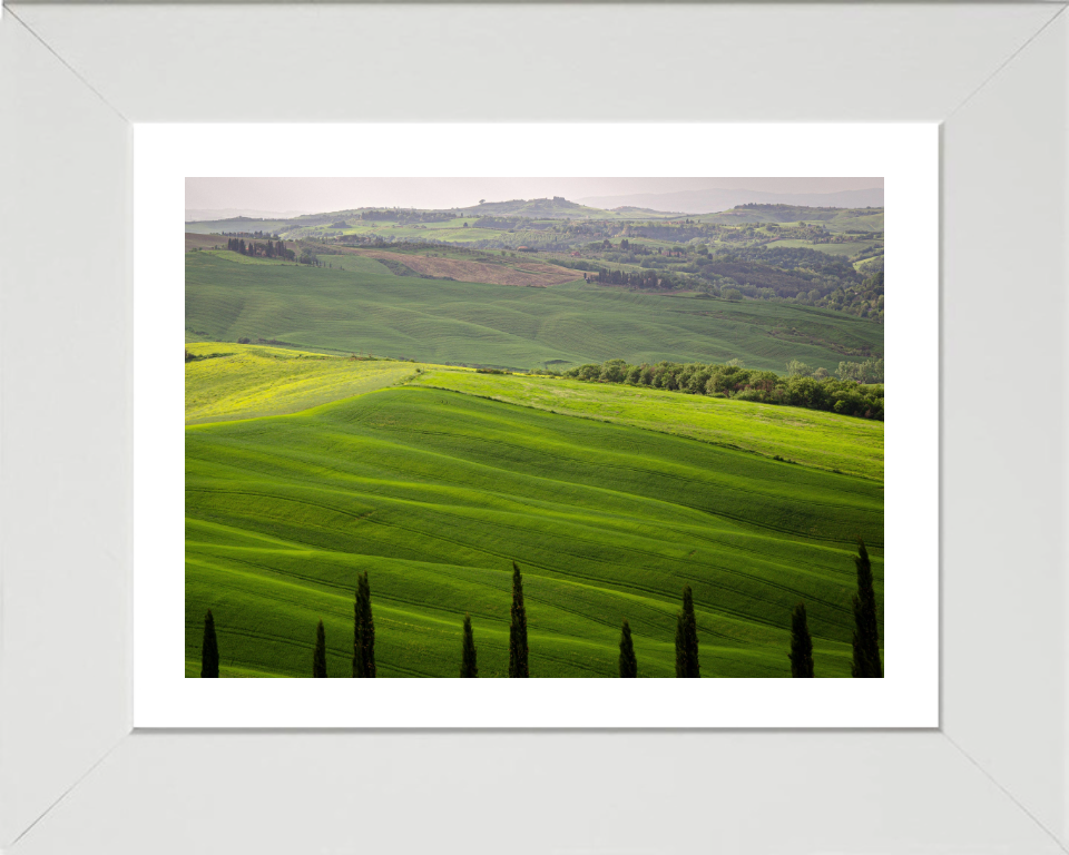 Tuscany Italy in summer Photo Print - Canvas - Framed Photo Print - Hampshire Prints