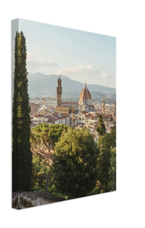 Giardino Bardini Firenze Italy Photo Print - Canvas - Framed Photo Print - Hampshire Prints