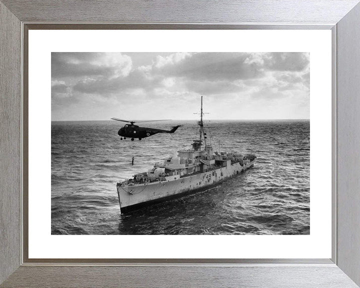 HMS Pheasant F49 (U49) Royal Navy Modified Black Swan class sloop Photo Print or Framed Print - Hampshire Prints