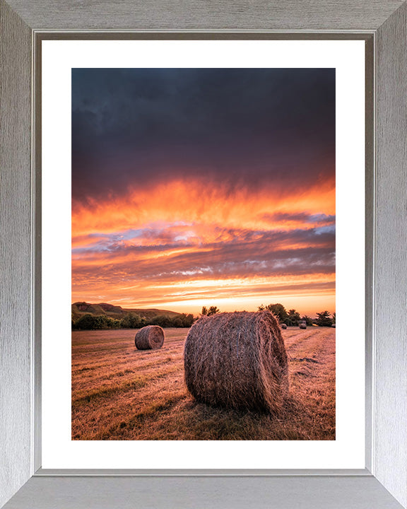 Hay bales at sunset in Hampshire Photo Print - Canvas - Framed Photo Print - Hampshire Prints