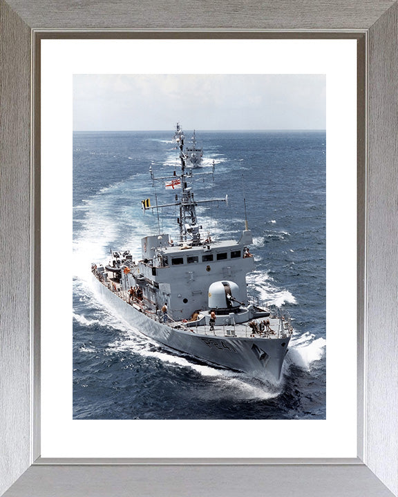 HMS Starling P241 | Photo Print | Framed Print | Peacock Class | Patrol Vessel | Royal Navy - Hampshire Prints