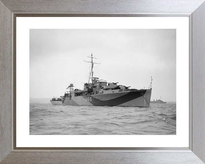 HMS Starling U66 Royal Navy Modified Black Swan Class sloop Photo Print or Framed Print - Hampshire Prints