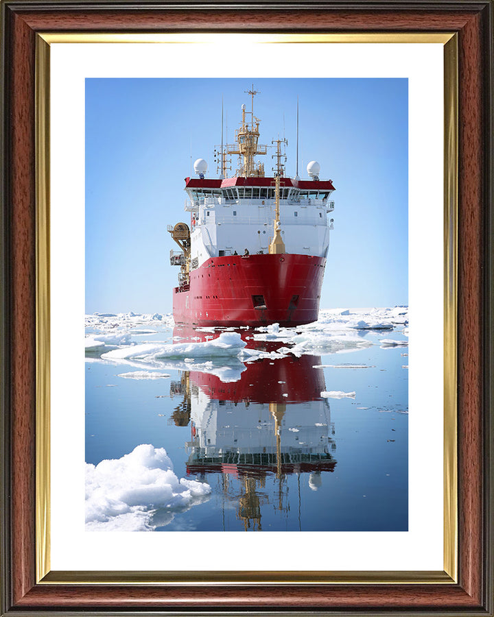 HMS Protector A173 Royal Navy Ice patrol ship Photo Print or Framed Print - Hampshire Prints