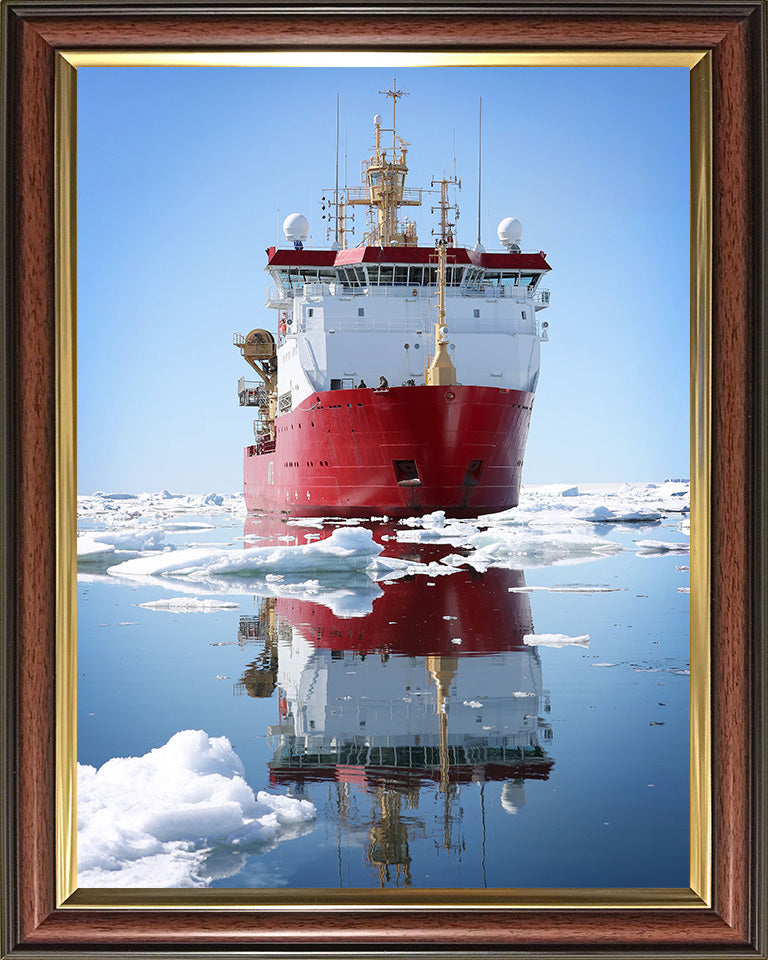 HMS Protector A173 Royal Navy Ice patrol ship Photo Print or Framed Print - Hampshire Prints