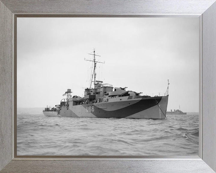 HMS Starling U66 Royal Navy Modified Black Swan Class sloop Photo Print or Framed Print - Hampshire Prints