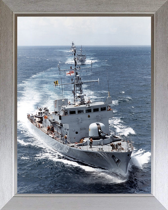 HMS Starling P241 | Photo Print | Framed Print | Peacock Class | Patrol Vessel | Royal Navy - Hampshire Prints