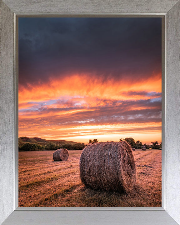 Hay bales at sunset in Hampshire Photo Print - Canvas - Framed Photo Print - Hampshire Prints