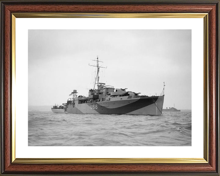 HMS Starling U66 Royal Navy Modified Black Swan Class sloop Photo Print or Framed Print - Hampshire Prints