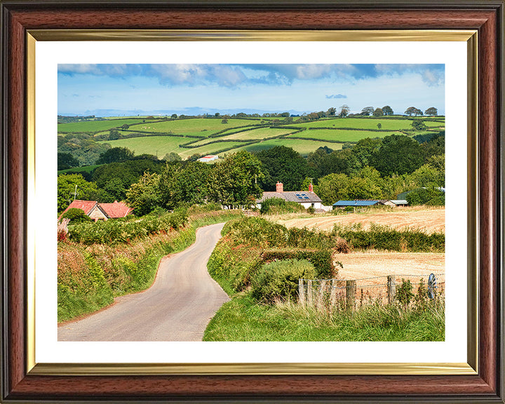 The Devon countryside Photo Print - Canvas - Framed Photo Print - Hampshire Prints
