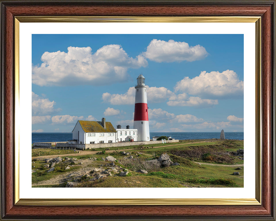 Portland Bill Lighthouse Dorset in summer Photo Print - Canvas - Framed Photo Print - Hampshire Prints