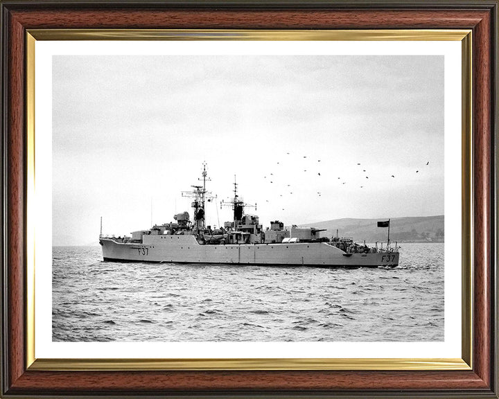 HMS Jaguar F37 Royal Navy Leopard class Frigate Photo Print or Framed Print - Hampshire Prints