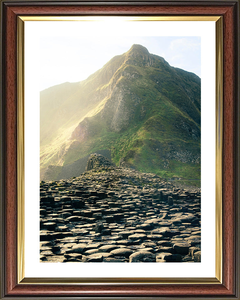 Giant's Causeway County Antrim Northern Ireland Photo Print - Canvas - Framed Photo Print - Hampshire Prints