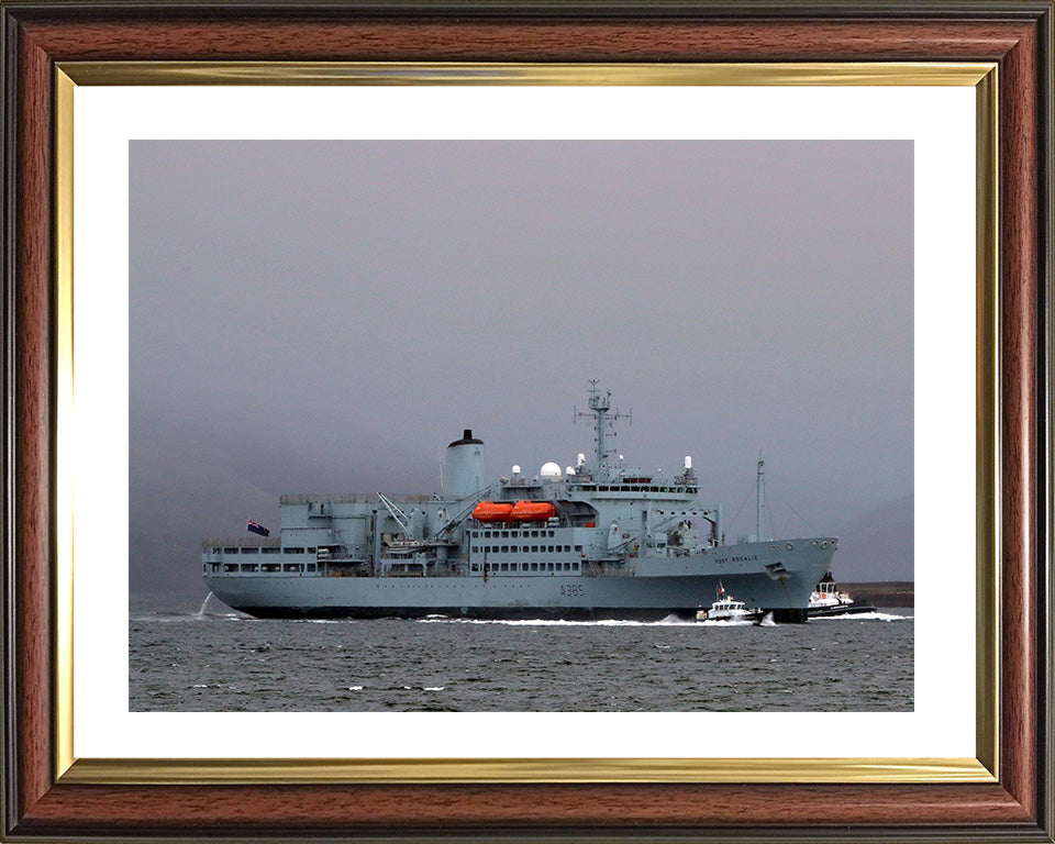 RFA Fort Rosalie A385 Royal Fleet Auxiliary Fort Rosalie Class replenishment ship Photo Print or Framed Print - Hampshire Prints