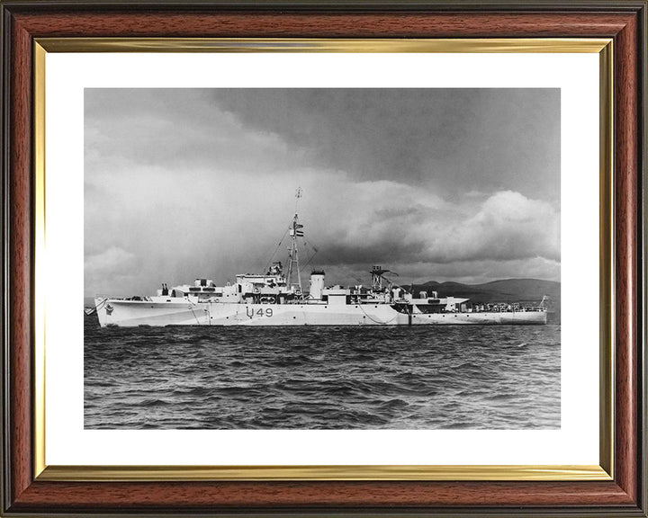 HMS Pheasant U49 Royal Navy Modified Black Swan Class sloop Photo Print or Framed Print - Hampshire Prints