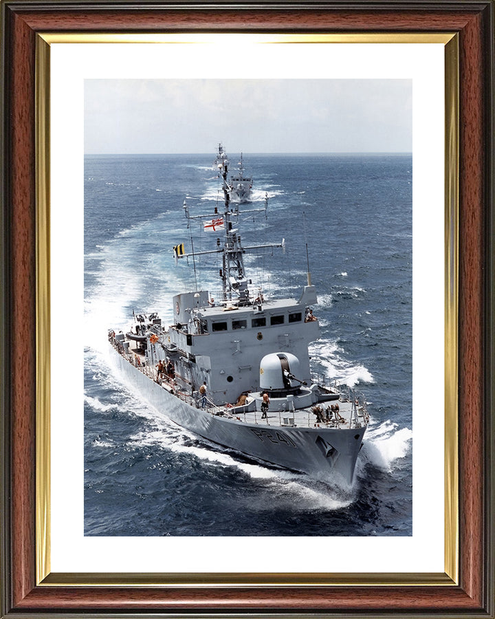 HMS Starling P241 | Photo Print | Framed Print | Peacock Class | Patrol Vessel | Royal Navy - Hampshire Prints