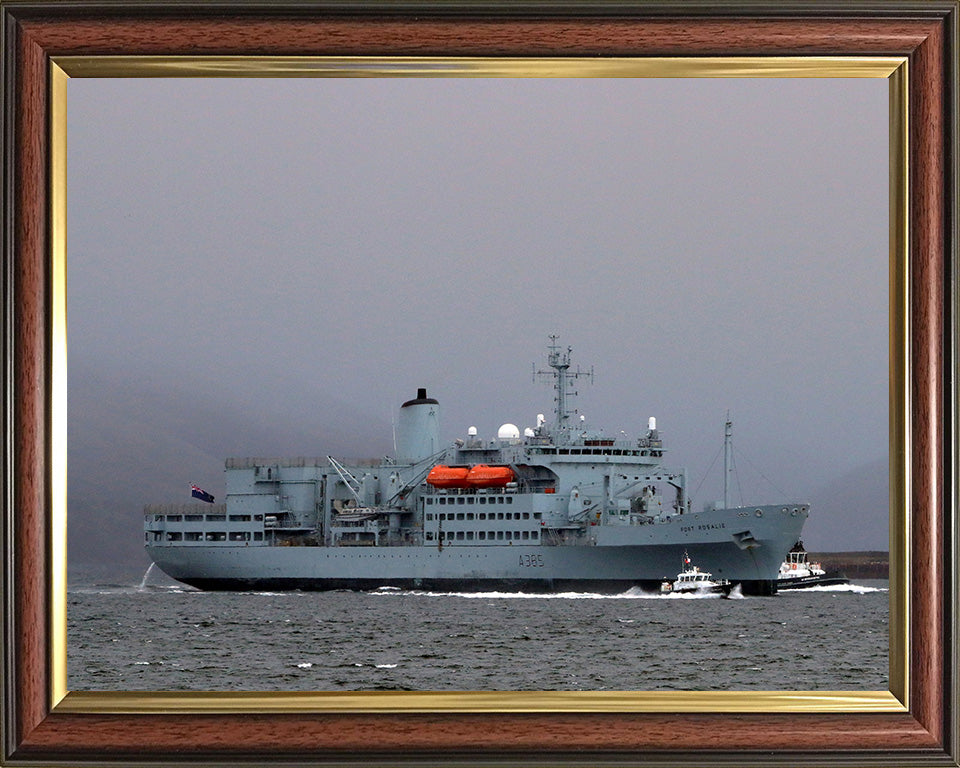 RFA Fort Rosalie A385 Royal Fleet Auxiliary Fort Rosalie Class replenishment ship Photo Print or Framed Print - Hampshire Prints