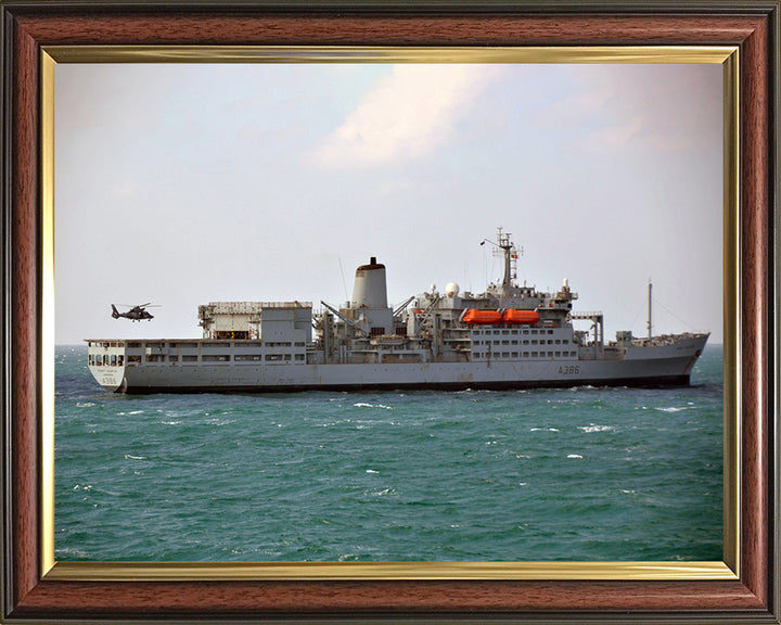 RFA Fort Austin A386 Royal Fleet Auxiliary Fort Rosalie Class replenishment ship Photo Print or Framed Print - Hampshire Prints