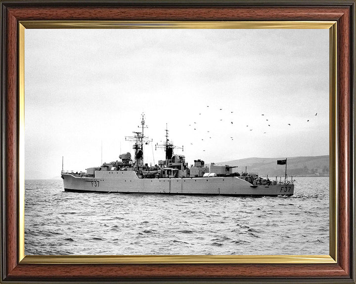 HMS Jaguar F37 Royal Navy Leopard class Frigate Photo Print or Framed Print - Hampshire Prints