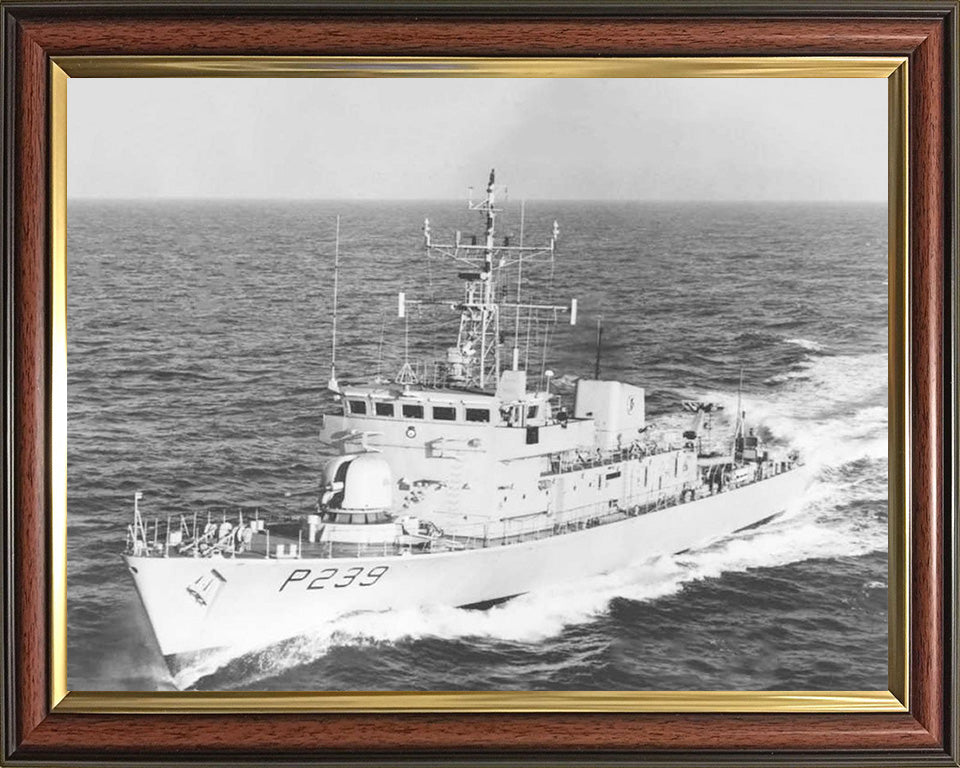 HMS Peacock P239 Royal Navy Peacock Class Patrol Vessel Photo Print or Framed Print - Hampshire Prints