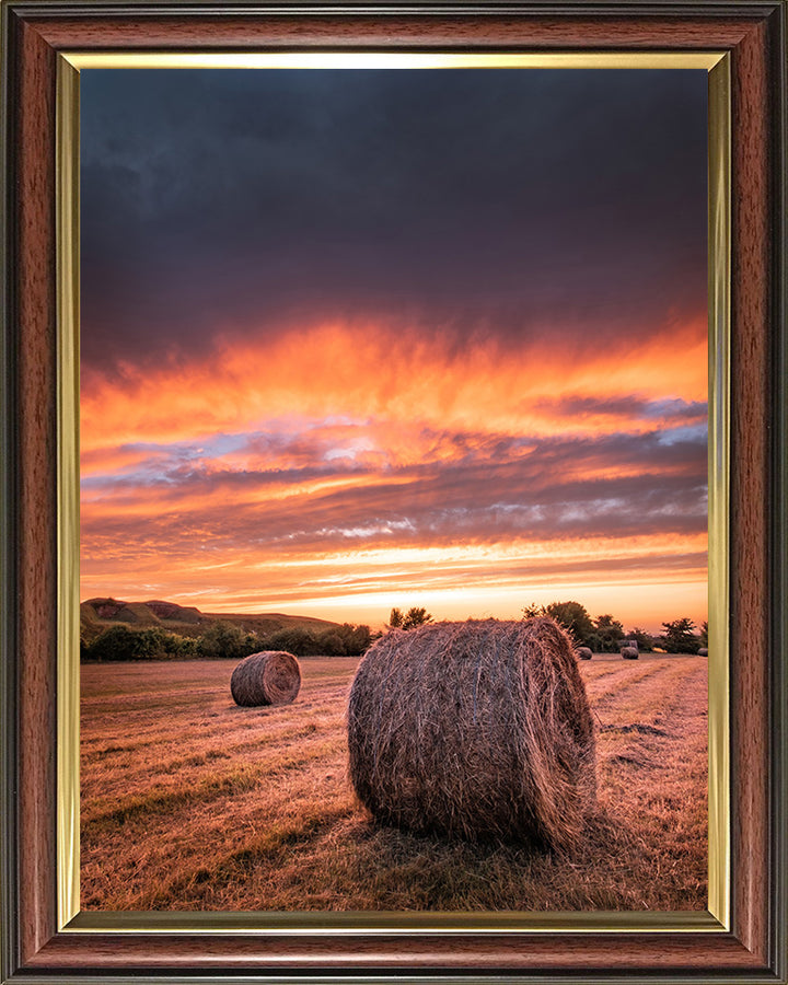 Hay bales at sunset in Hampshire Photo Print - Canvas - Framed Photo Print - Hampshire Prints